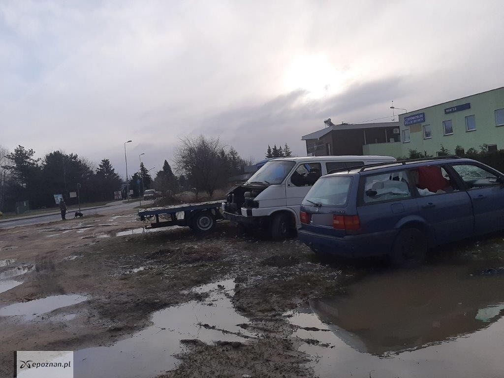 Teren po sprzątaniu | fot. Straż miejska
