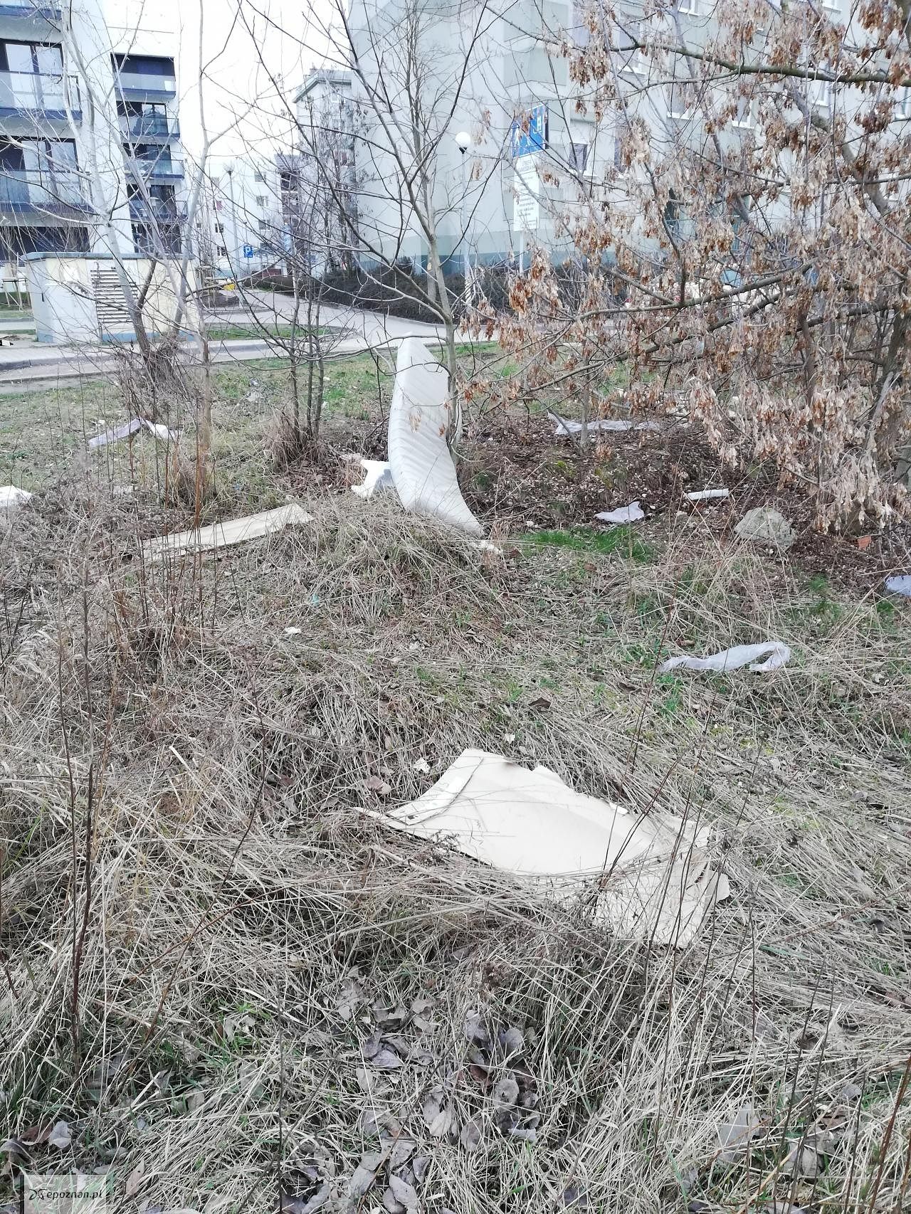 fot. czytelnik