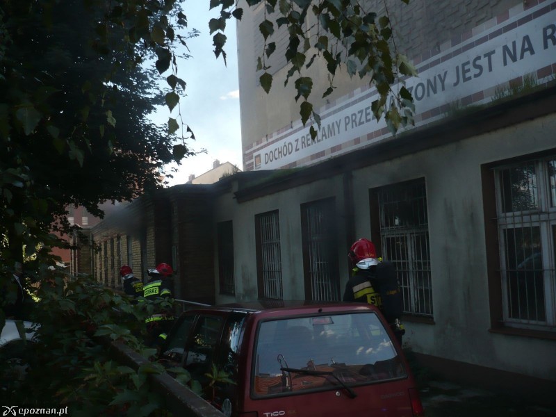 fot. Krzysztof B. 