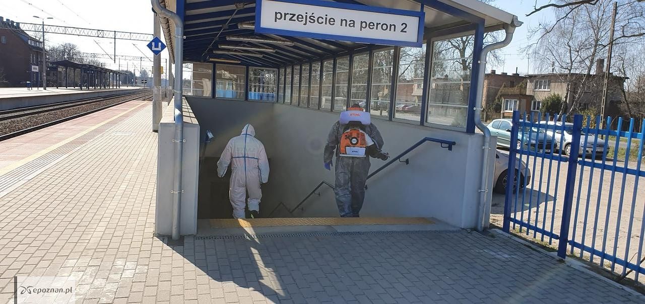 fot. Heavy Rescue SGRT OSP Mosina / FB