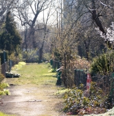 fot. Włodzimierz Hoppel