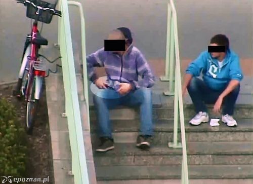 fot. Straż miejska