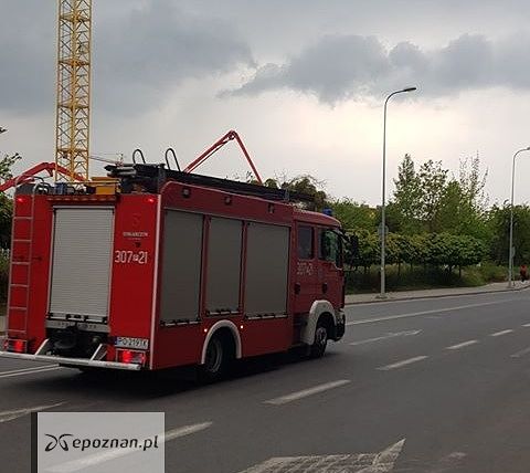 fot. Czytelnik