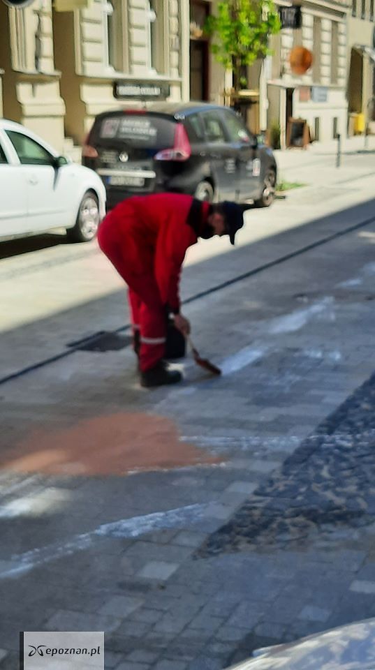 fot. Straż Miejska