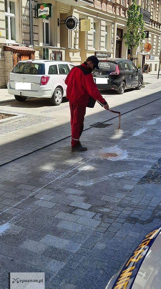 fot. Straż Miejska