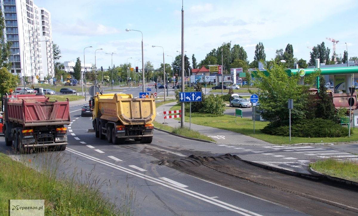 fot. Włodzimierz Hoppel