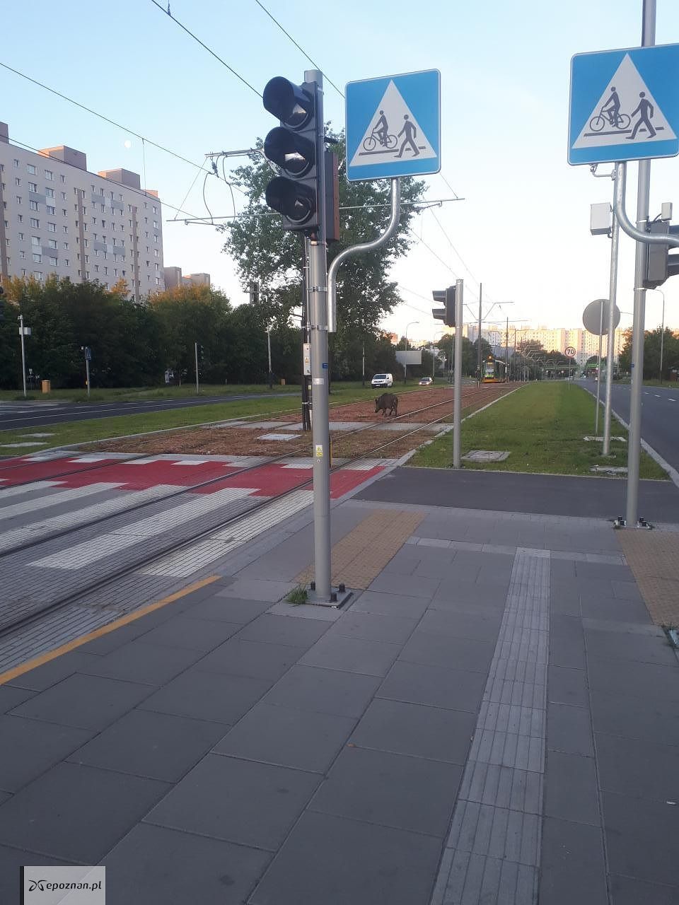 fot. Czytelnik