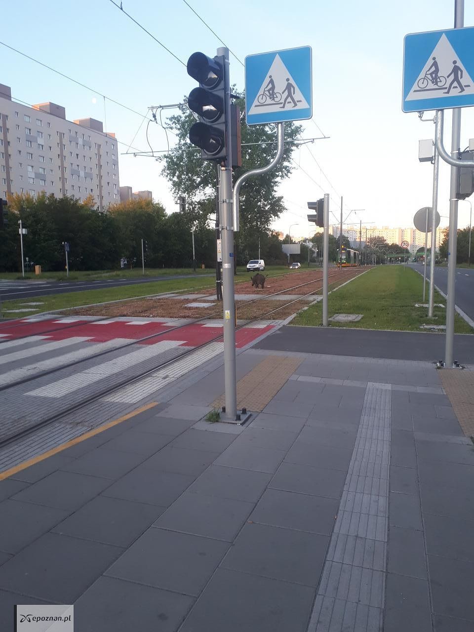 fot. Czytelnik