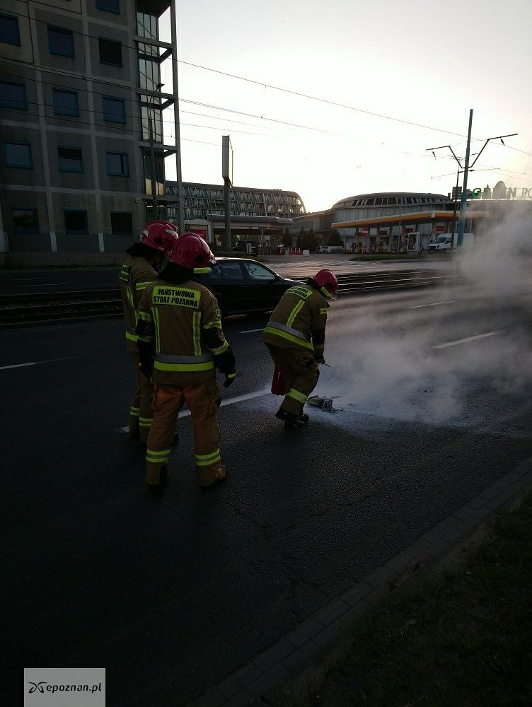 fot. Straż miejska