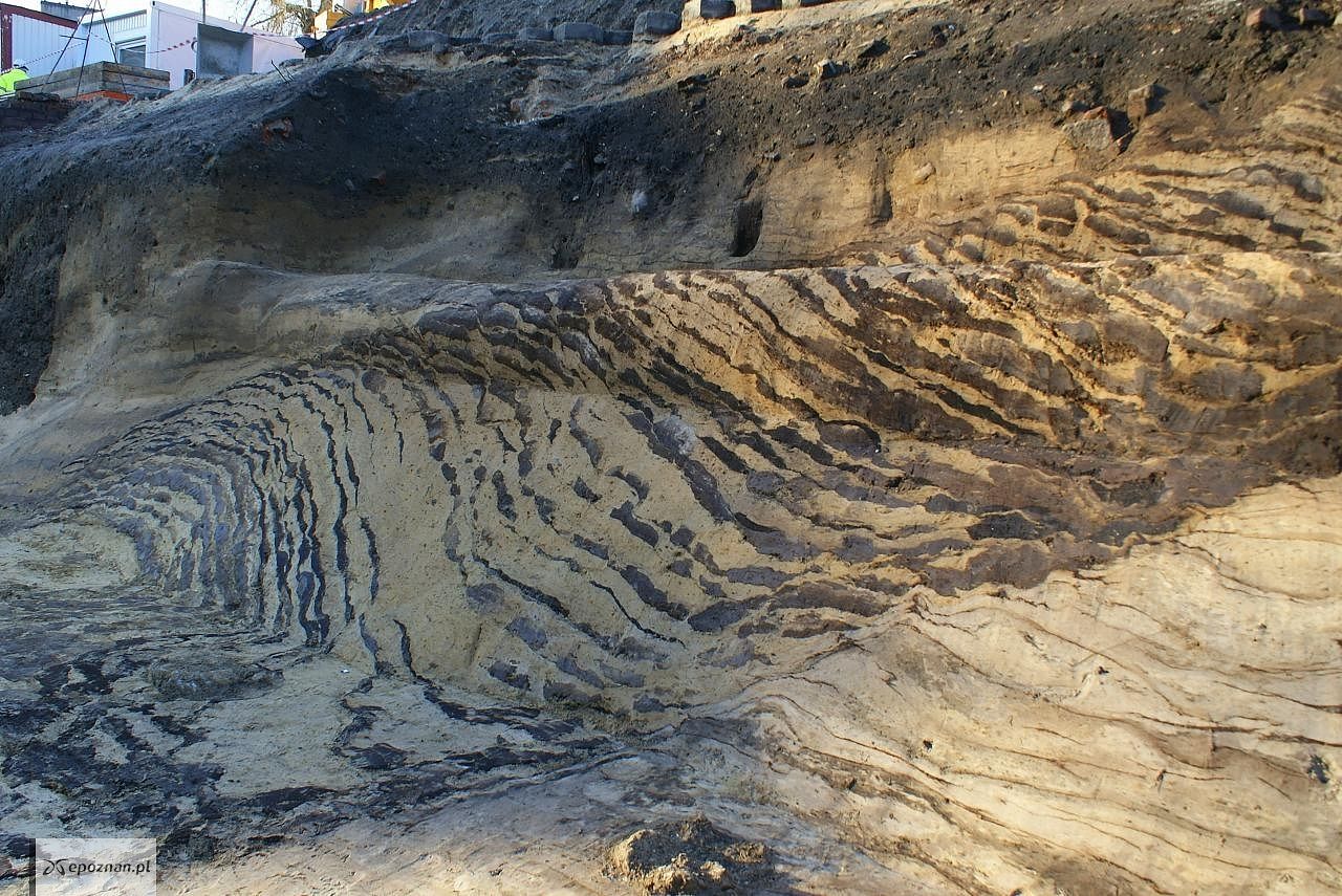 fot. Materiały prasowe