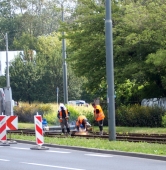 fot. Włodzimierz Hoppel