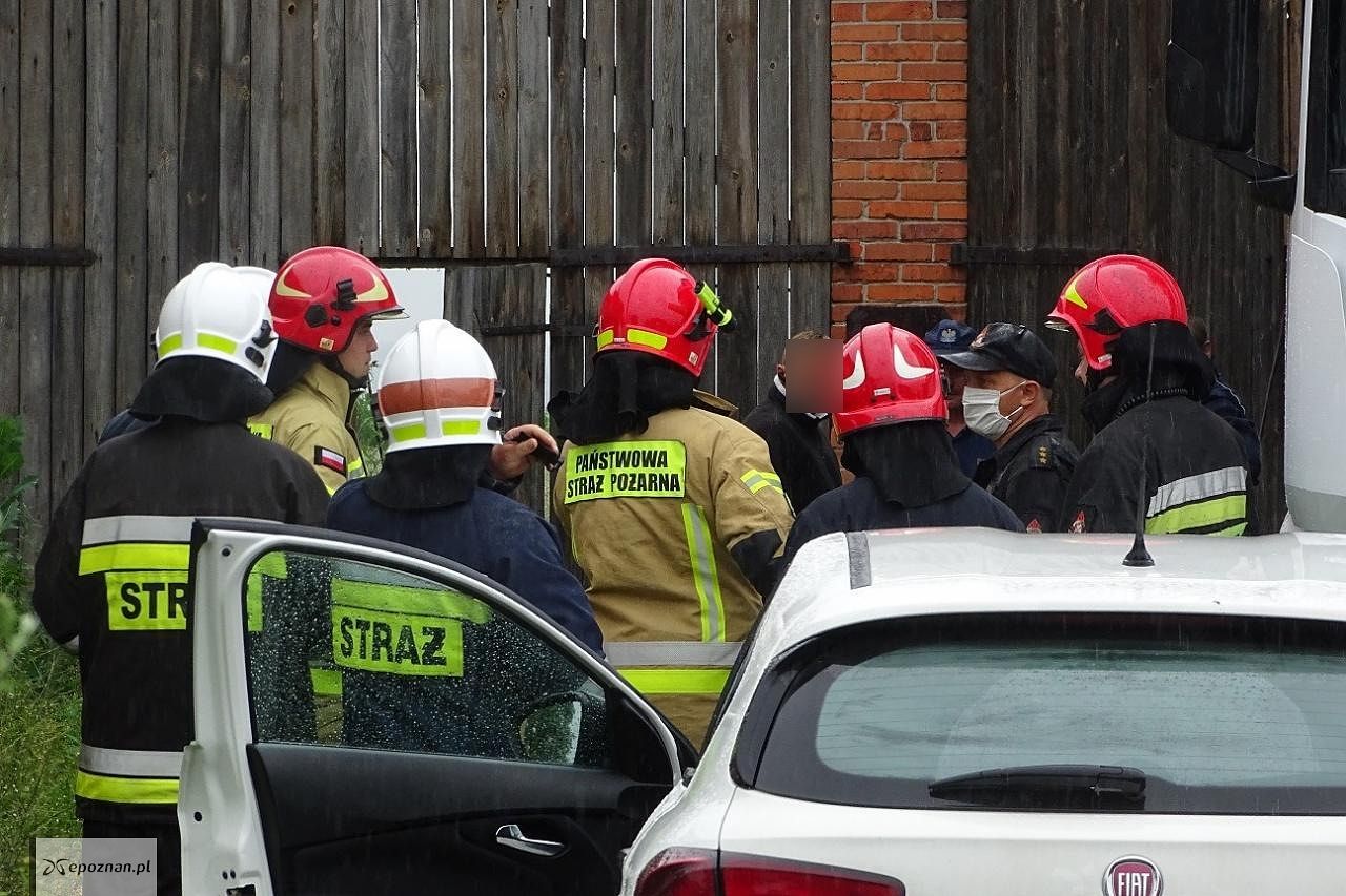 fot. Kalisz24.INFO