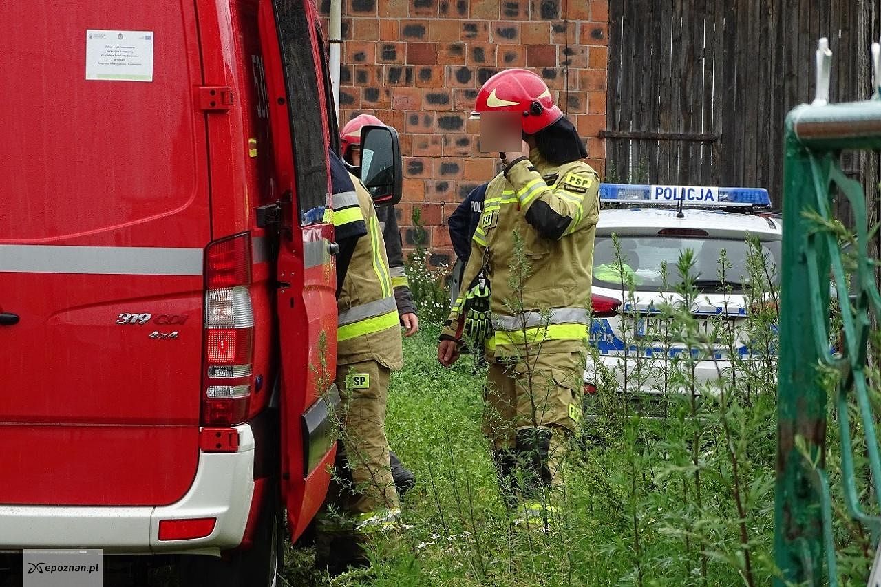 fot. Kalisz24.INFO
