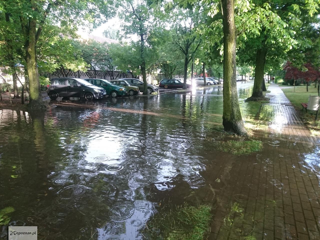 Ulica Promienista | fot. Włodzimierz Nowak