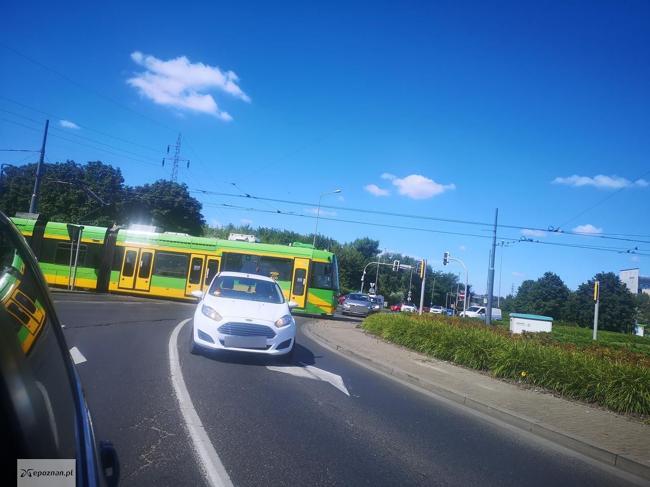 fot. Kamil