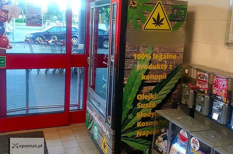 fot. portalwrc.pl