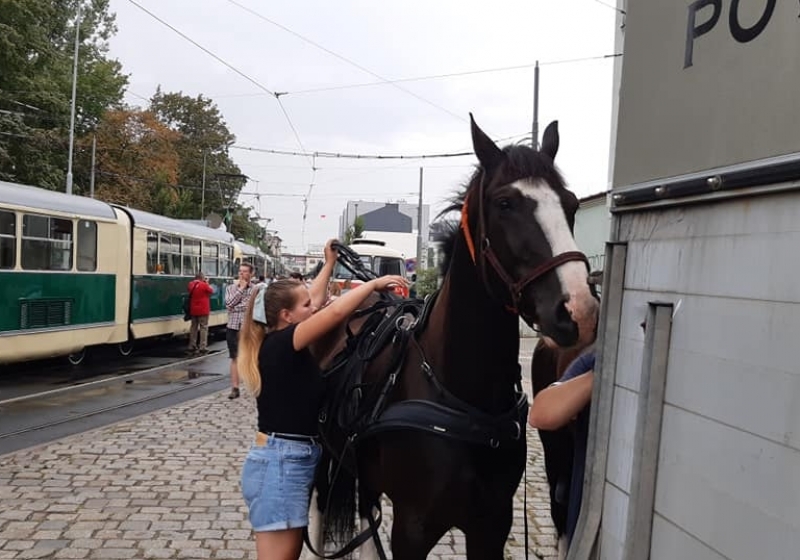 fot. MPK Poznań Sp. z o.o. / FB