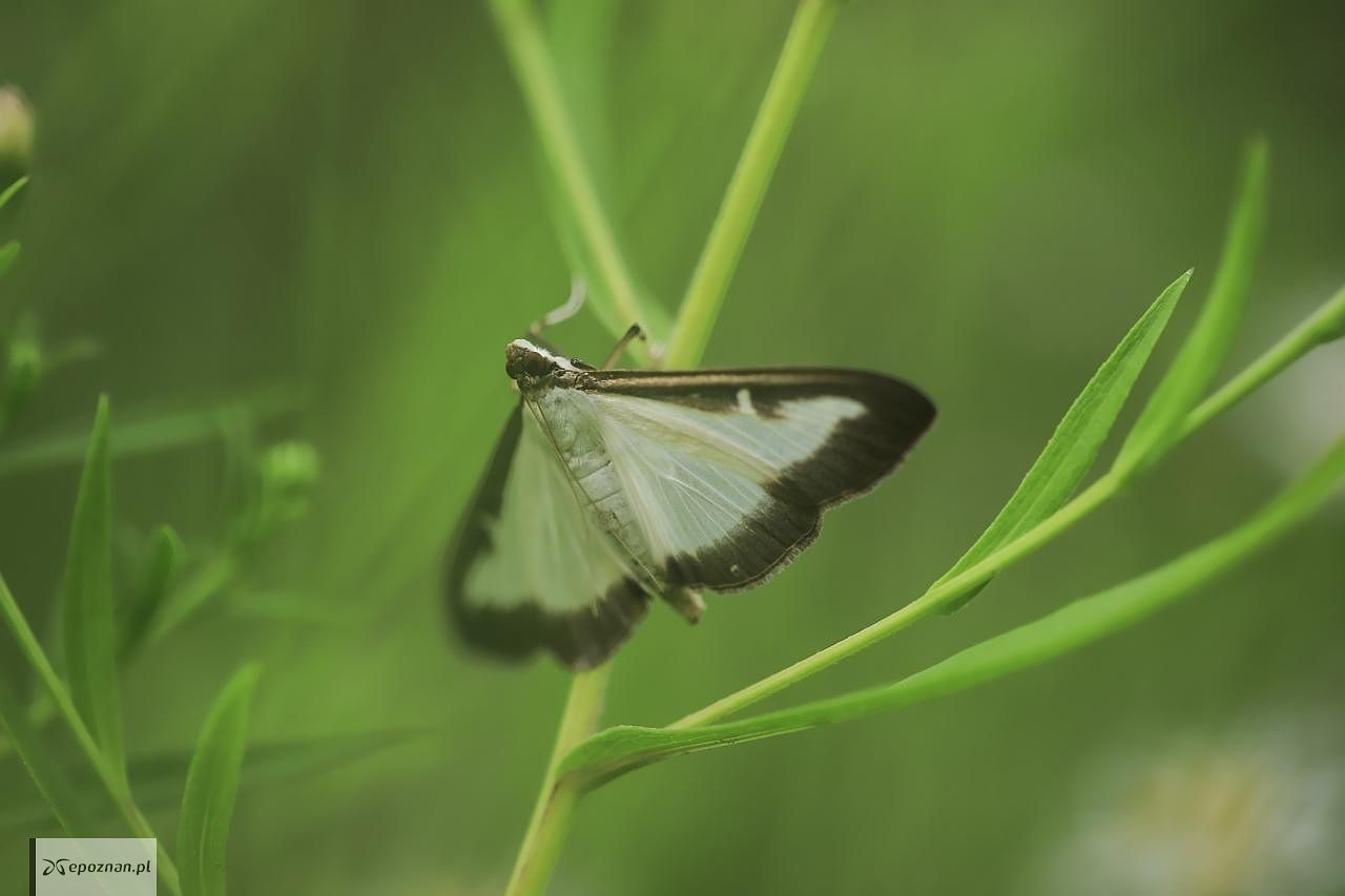 fot. Czytelnik