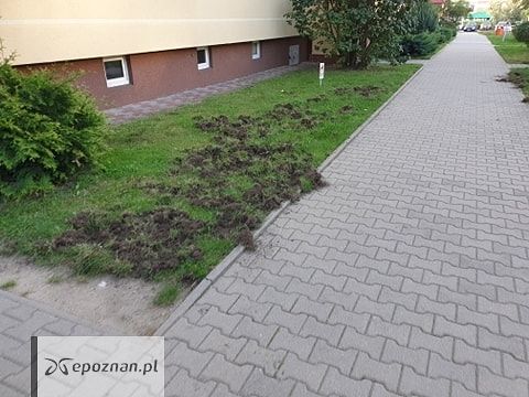 fot. Czytelnik