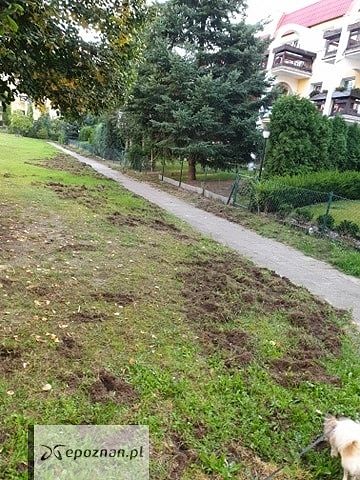 fot. Czytelnik