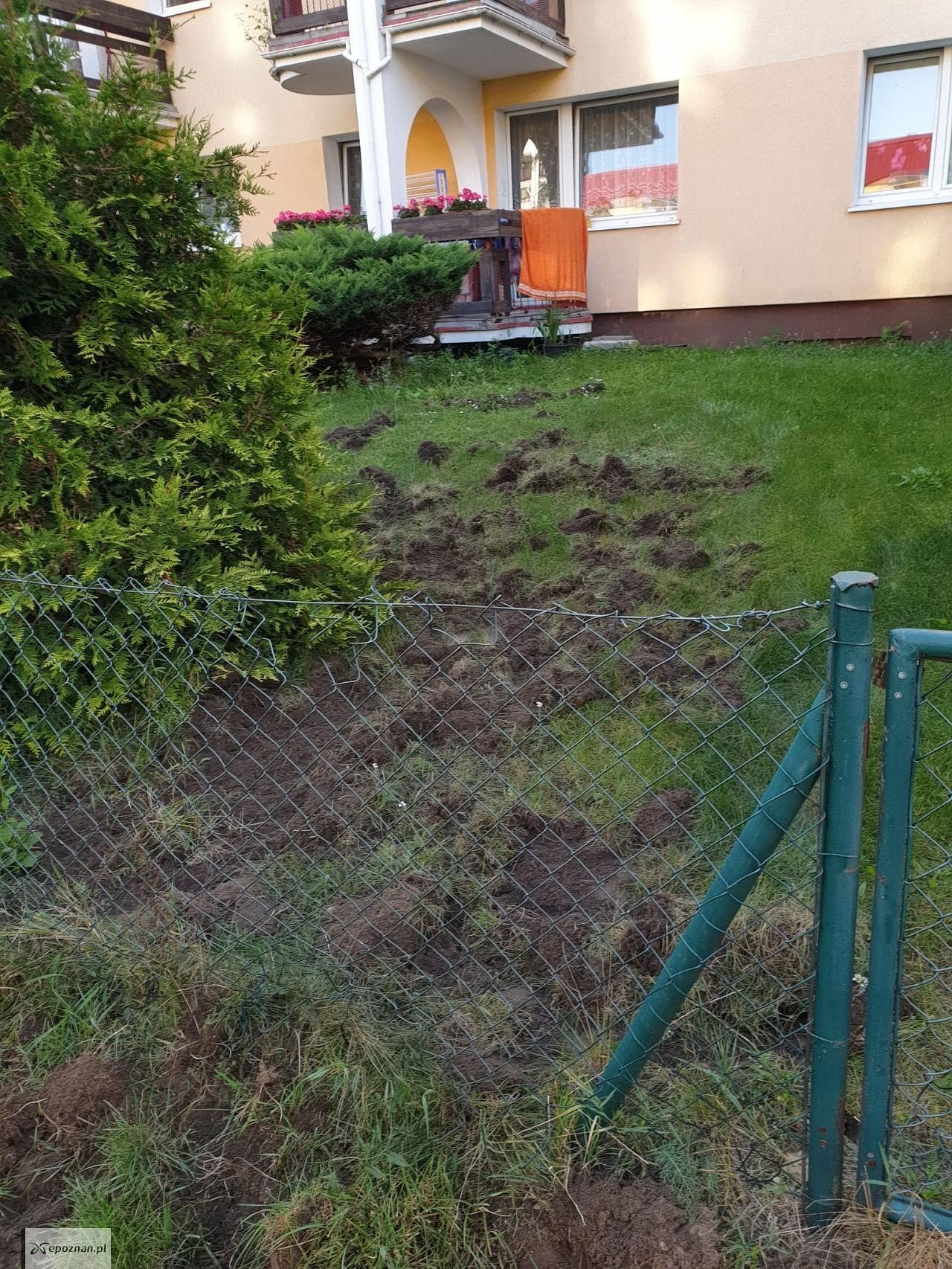 fot. Czytelnik