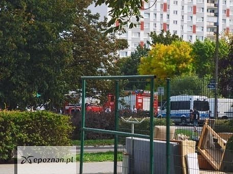 fot. Tomasz