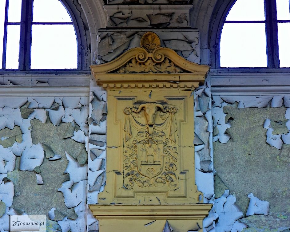 fot. materiały prasowe