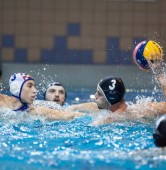 Arkonia Szczecin - DSW Waterpolo Poznań 9:13 | fot. Tomasz Szwajkowski