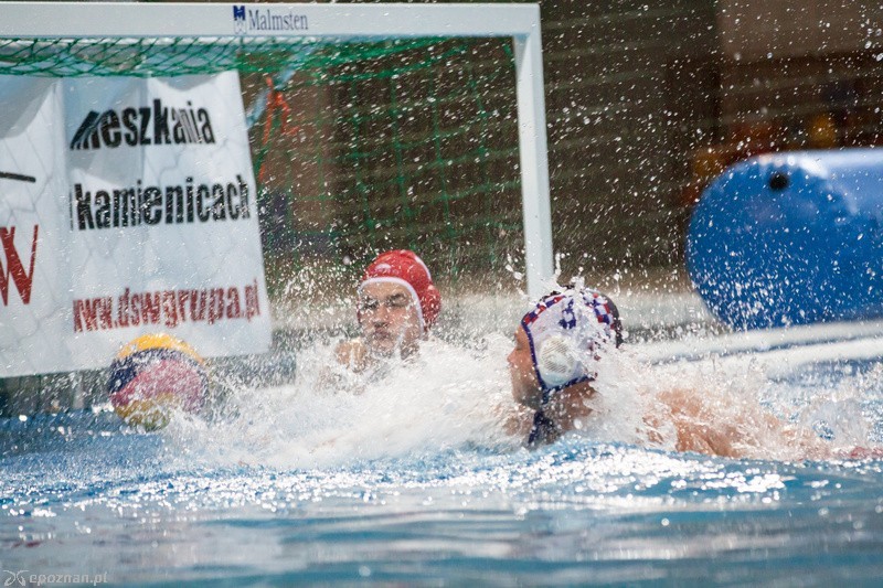 Arkonia Szczecin - DSW Waterpolo Poznań 9:13 | fot. Tomasz Szwajkowski