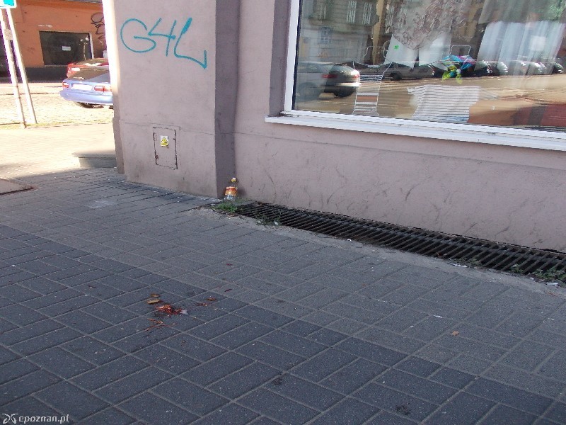 fot. Paweł Sztando