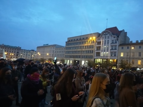 fot. Kociara z Jeżyc