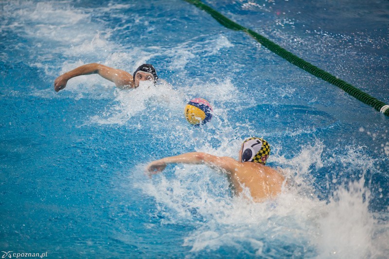 DSW Waterpolo Poznań - ŁSTW UŁ Łódź 6:11  | fot. Tomasz Szwajkowski