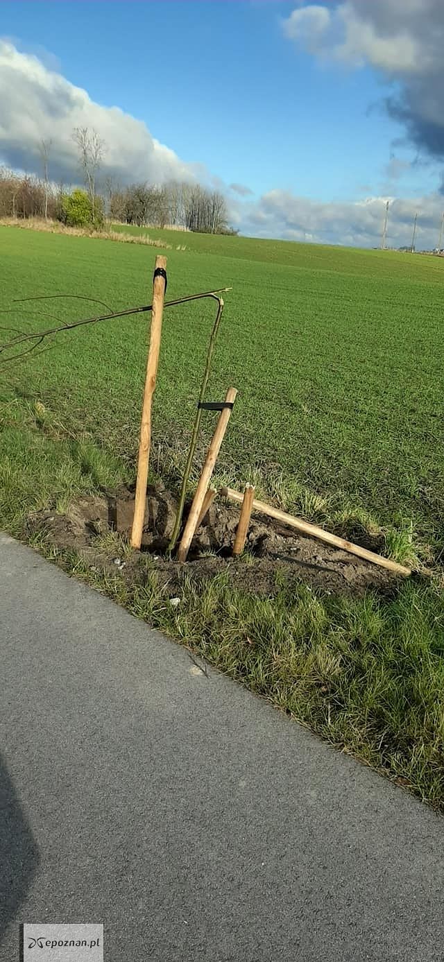 fot. Straż miejska Wyrzysk