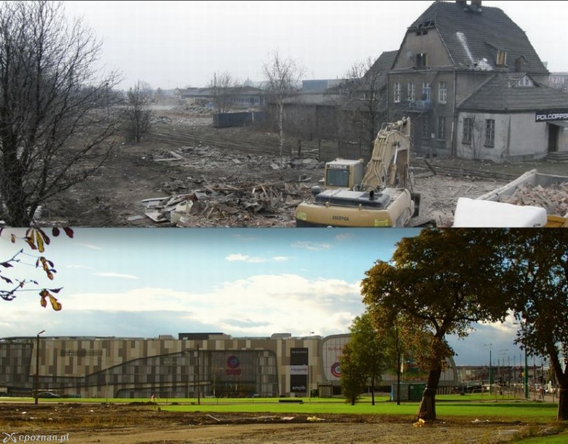 Wolne Tory wczoraj i dziś