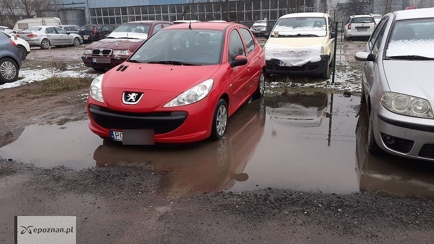fot. Czytelnik