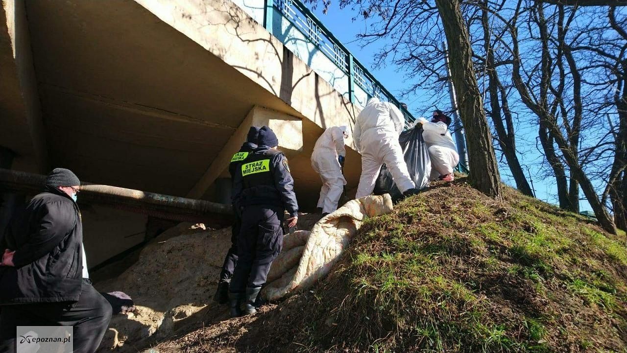 fot. Straż miejska
