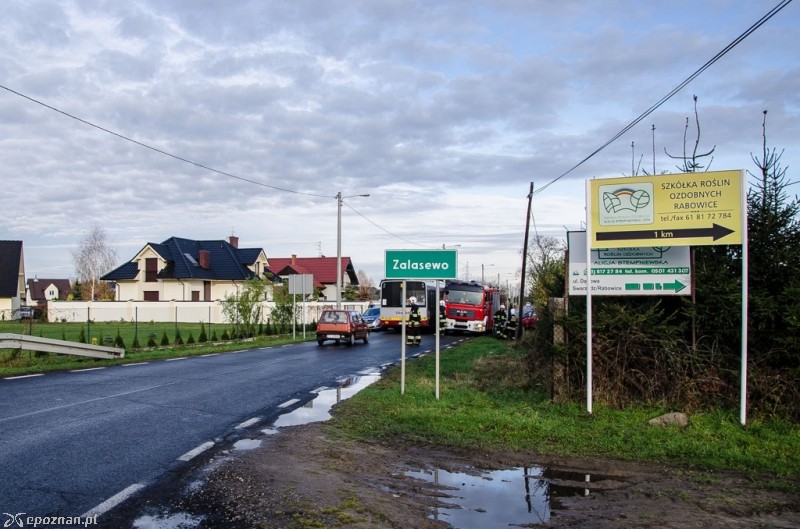 fot. Mateusz Gawarecki