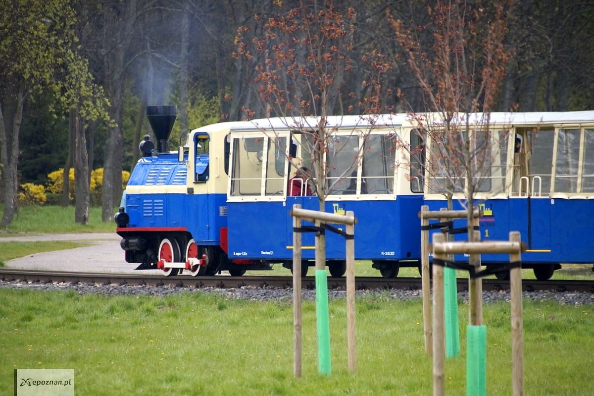 fot. Włodzimierz Hoppel