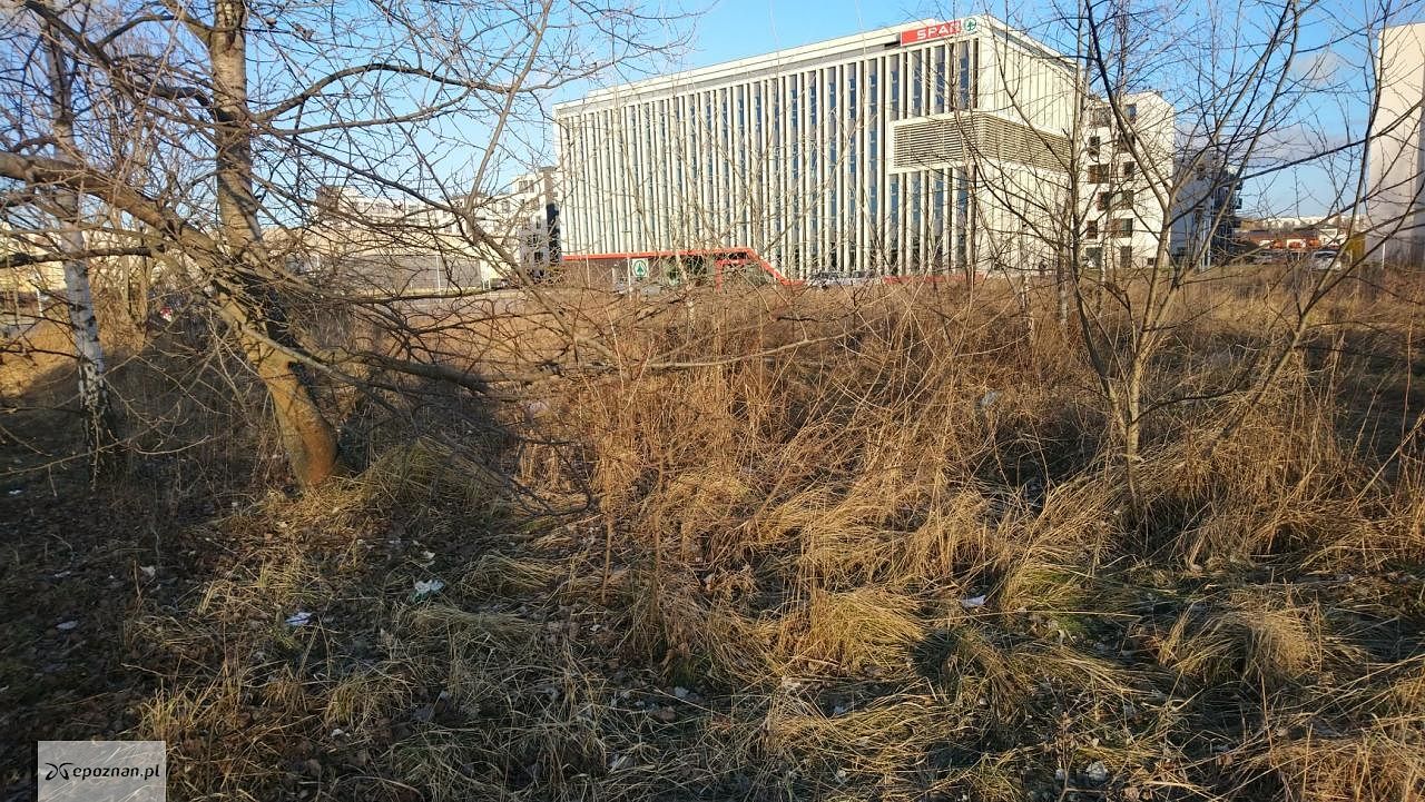 fot. Straż Miejska