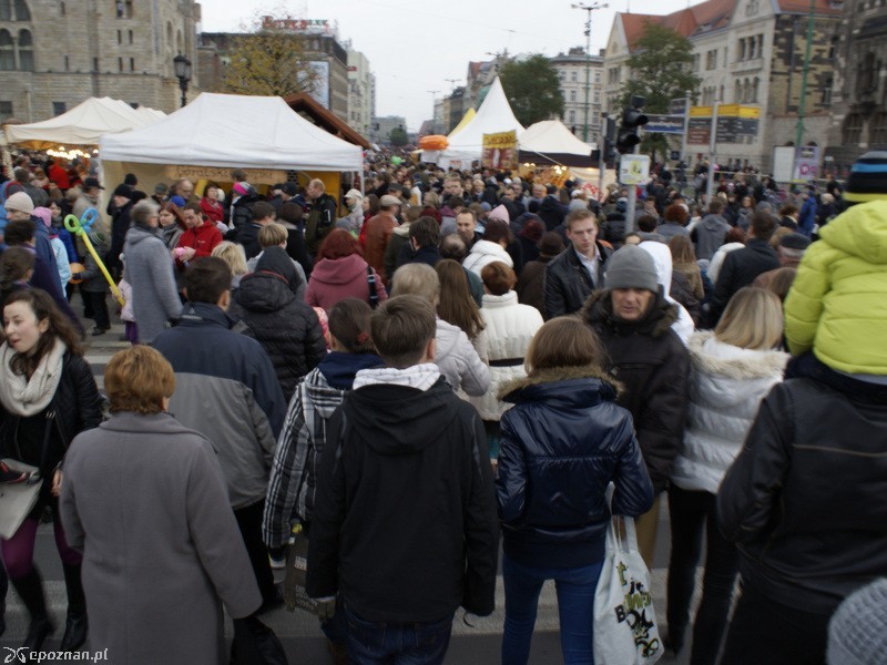 fot. Sołtys