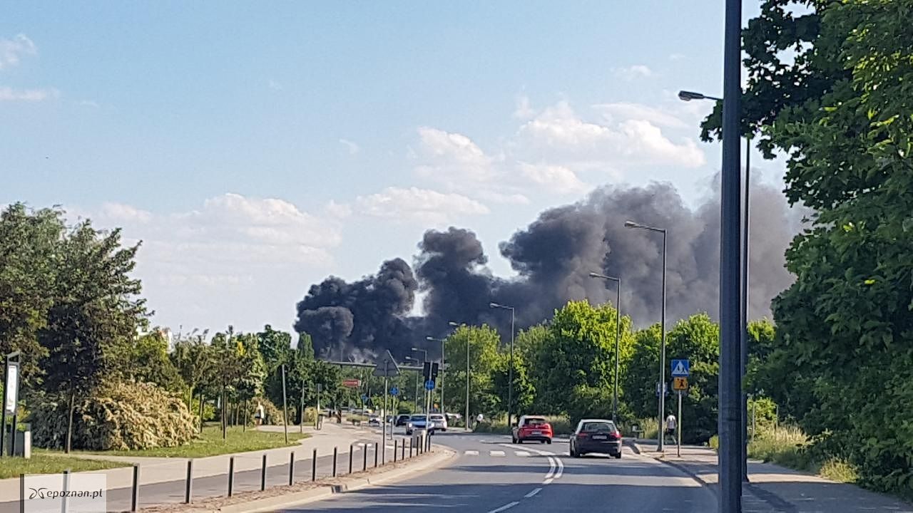 fot. Czytelniczka