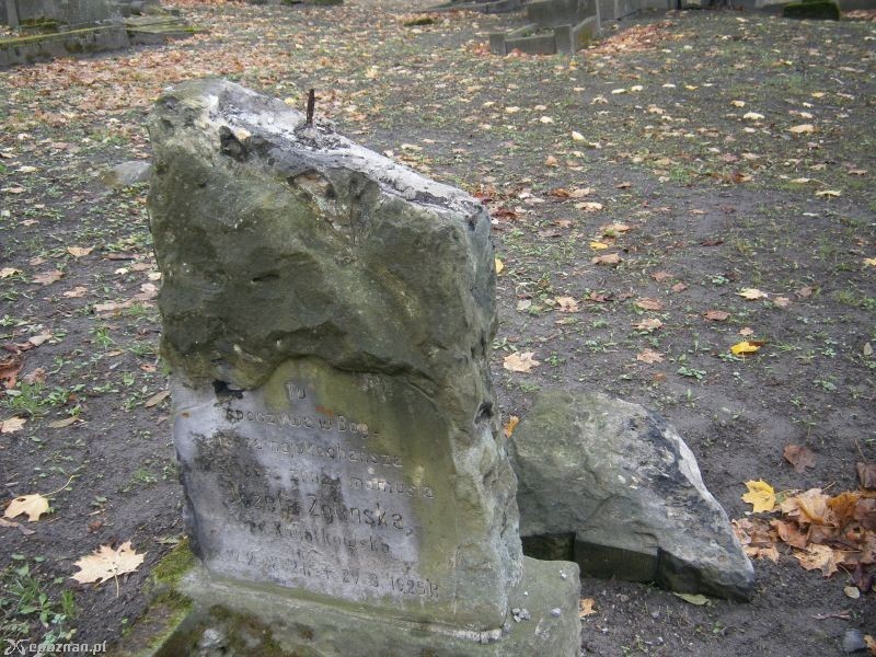 fot. Sławomira Skierska