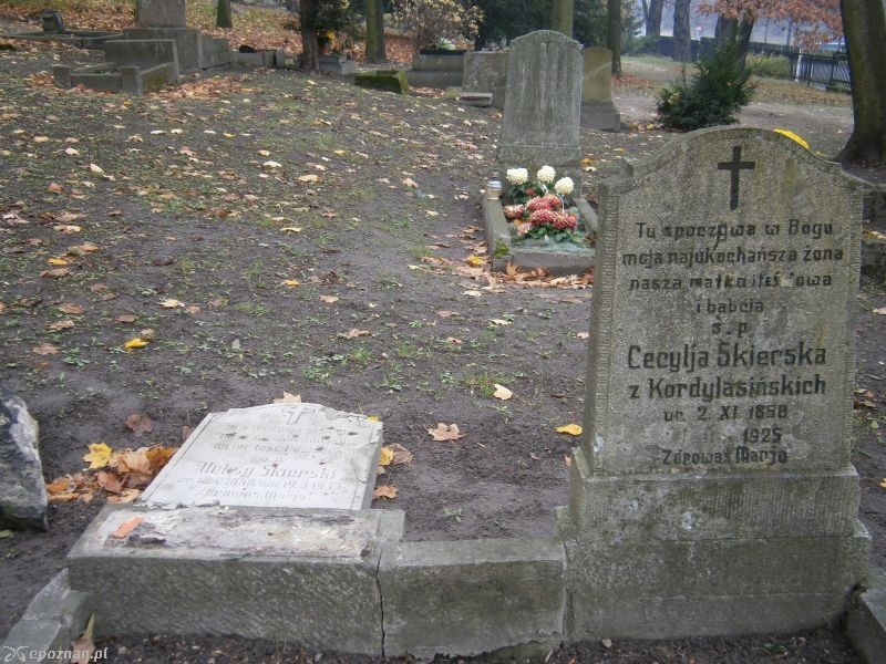fot. Sławomira Skierska