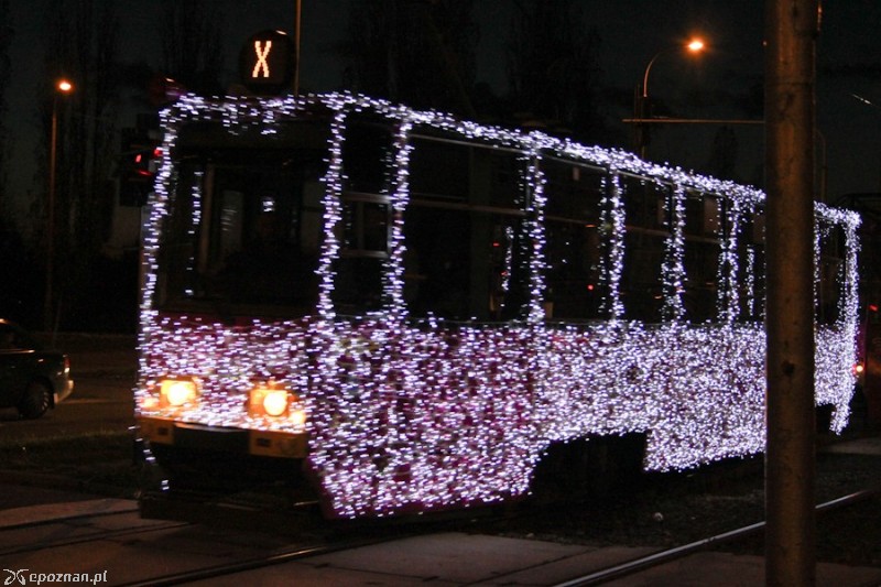 fot. Elżbieta Skowron