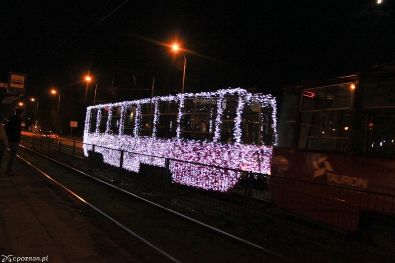 fot. Elżbieta Skowron