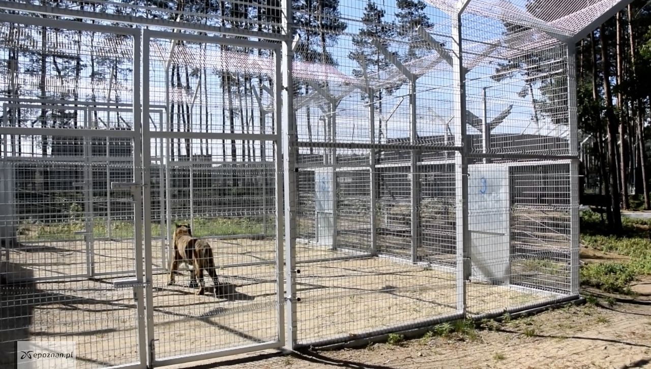 fot. ZOO Poznań Official / Facebook