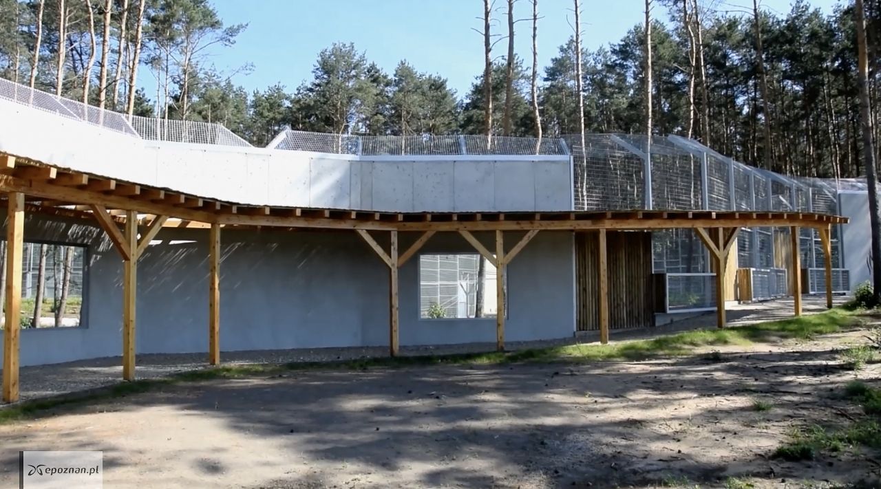 fot. ZOO Poznań Official / Facebook