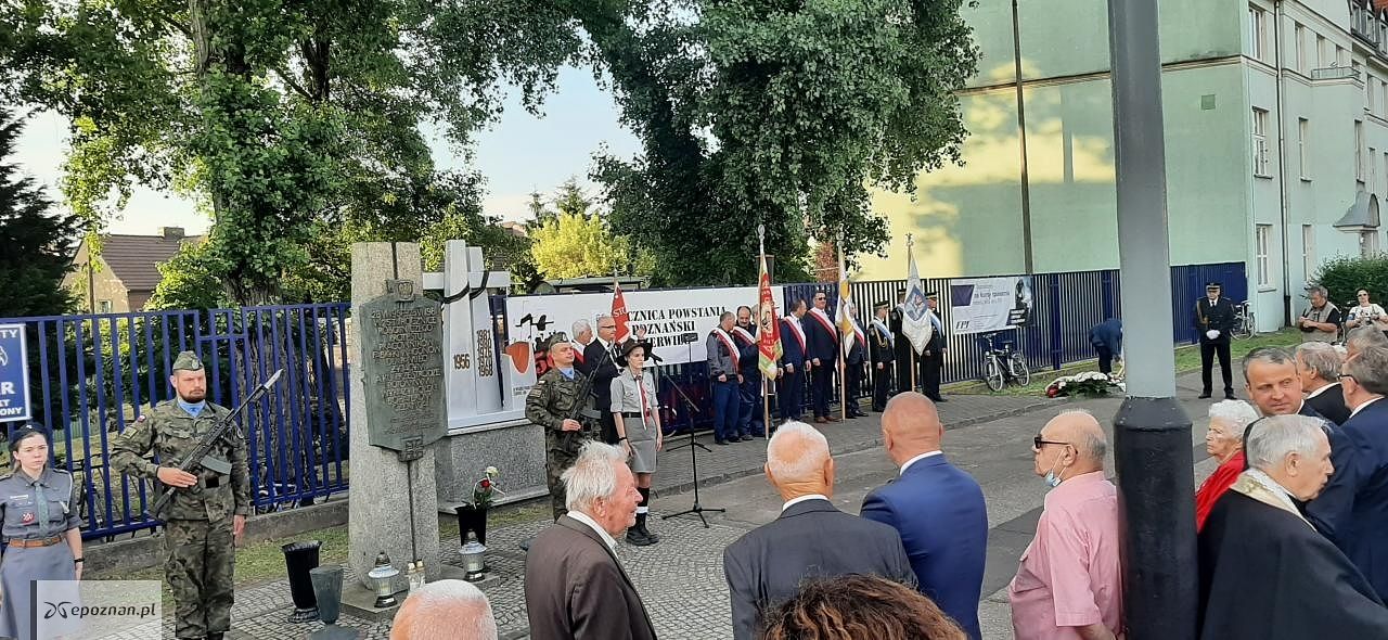 fot. Przemysław Musiał