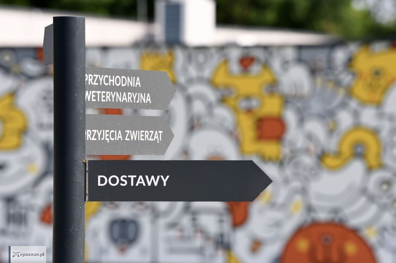 fot. UM Poznań
