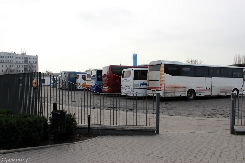 fot. Mariusz Potrawiak 